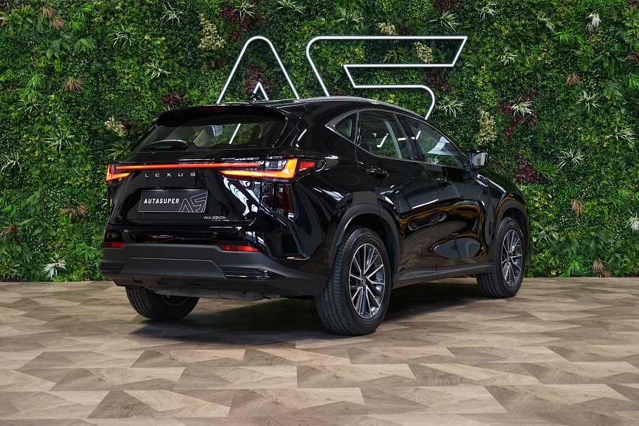 Lexus NX 350h Comfort Top FWD