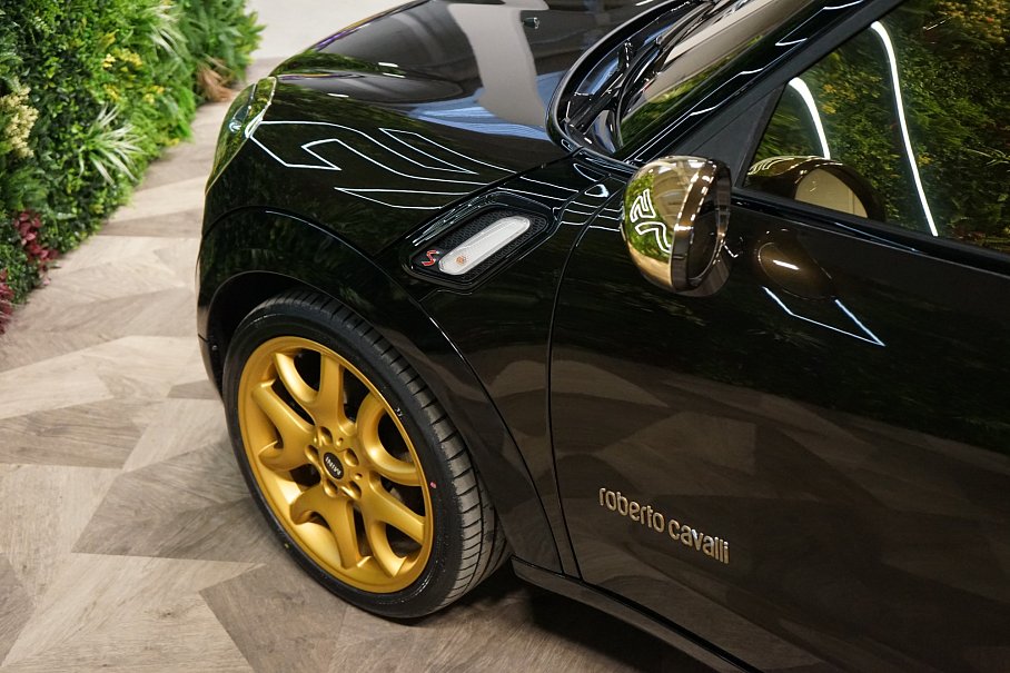 Mini Cooper S AAL4 Paceman